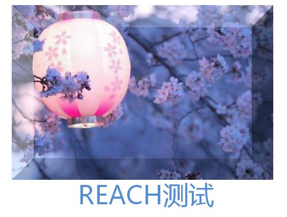 reach測試