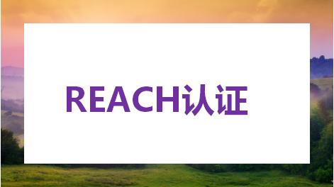 reach認證